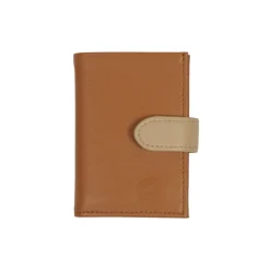 Frandi Porte carte -><noscript><img width=