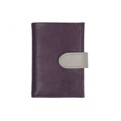 Frandi Porte carte -><noscript><img width=