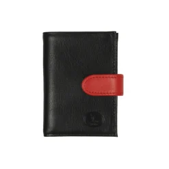 Frandi Porte carte -><noscript><img width=